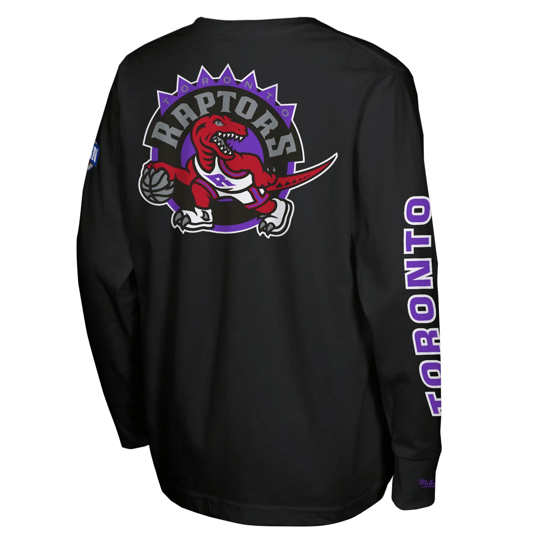 Youth Mitchell & Ness Black Toronto Raptors Heavyweight Long Sleeve T-Shirt - Image 3